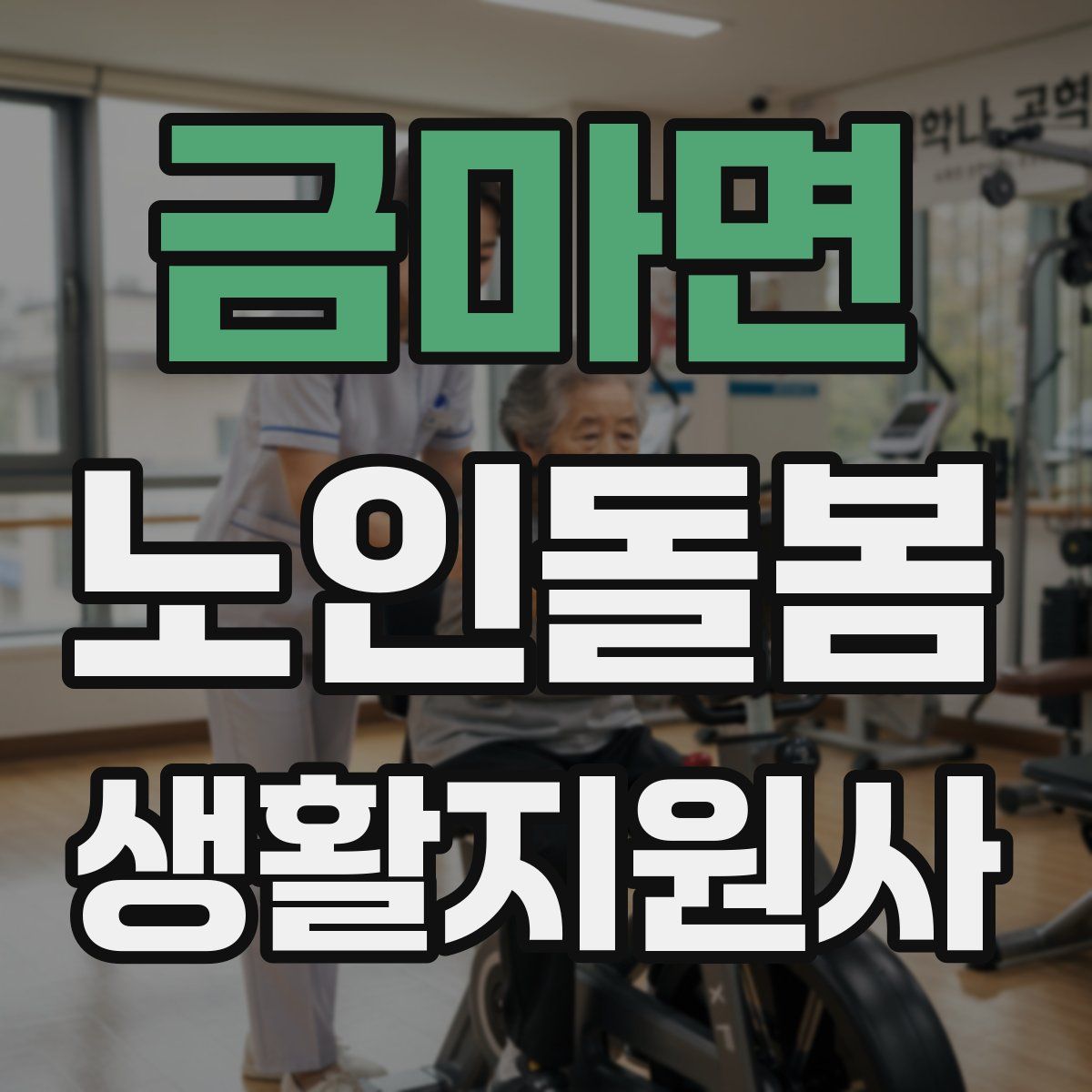 금마면 노인돌봄생활지원사 자격증