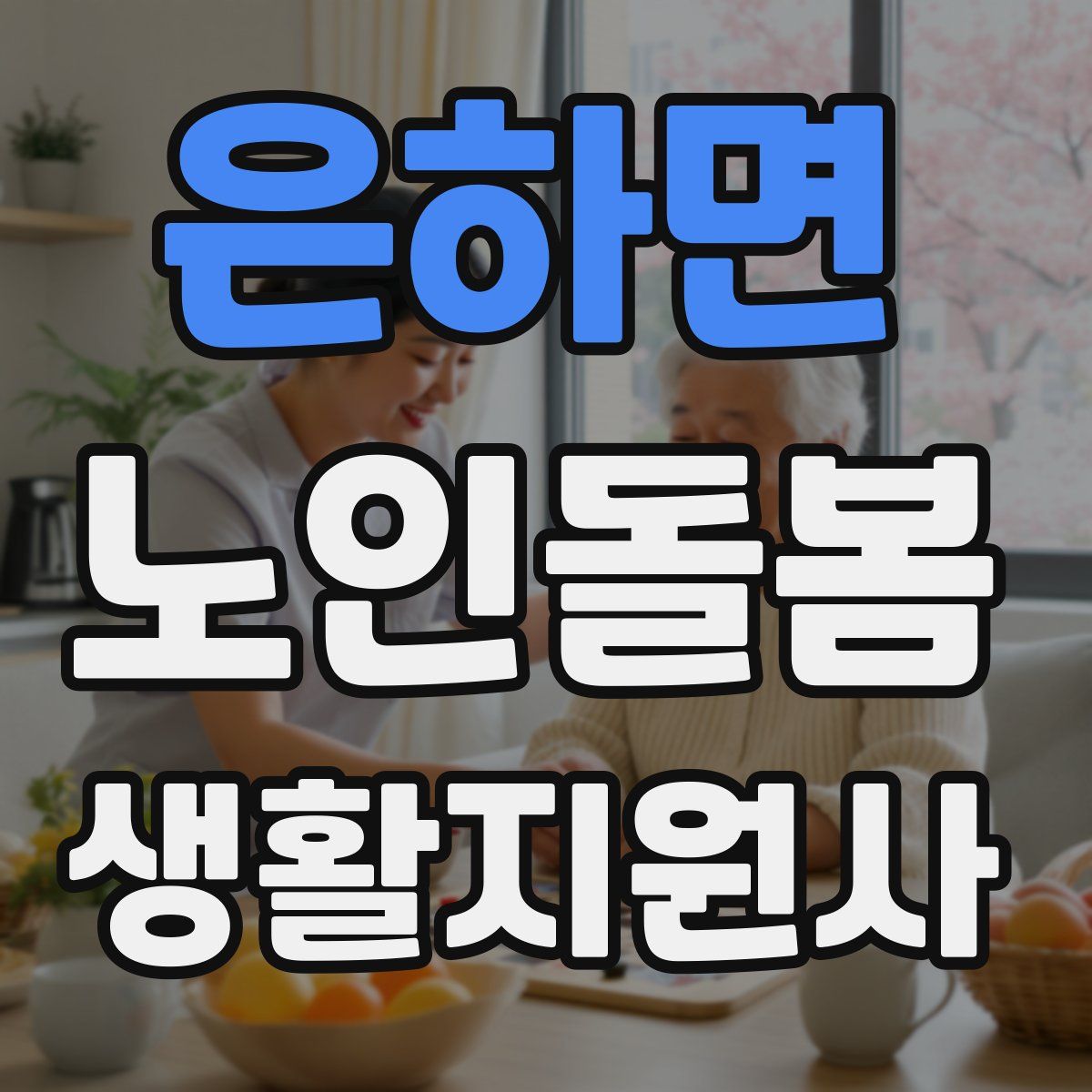 은하면 노인돌봄생활지원사 자격증