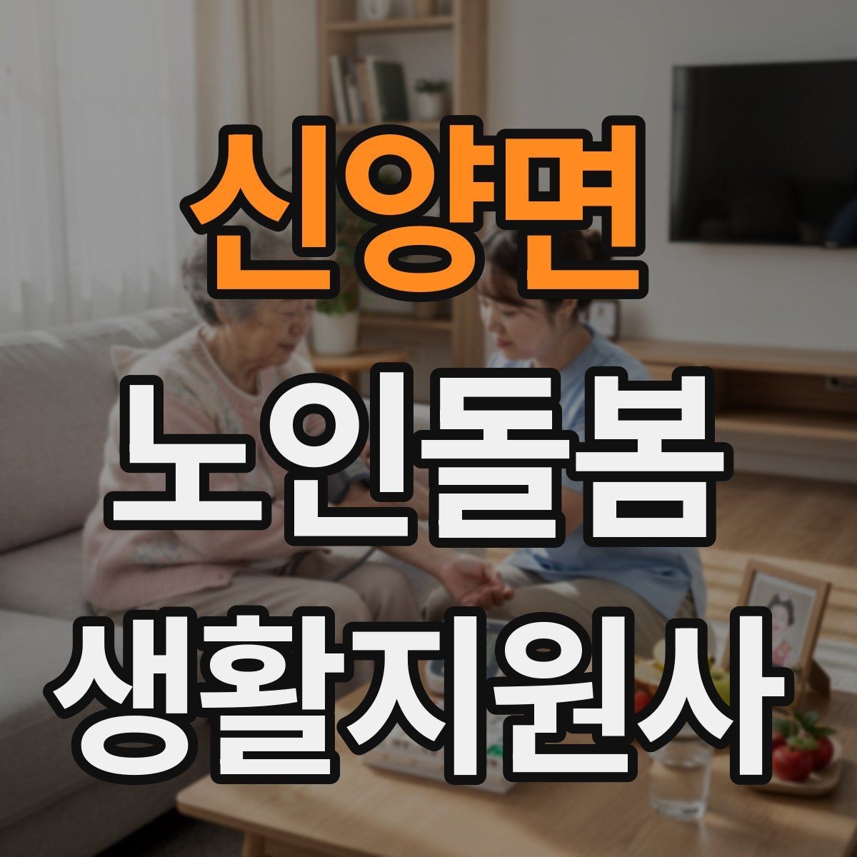 신양면 노인돌봄생활지원사 자격증 복약 정보를 확인하는 방법 정리