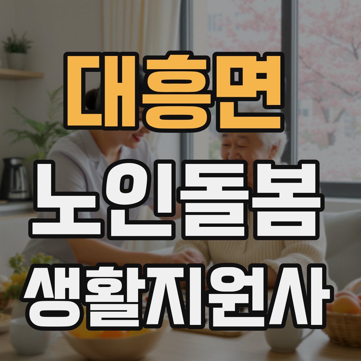 대흥면 노인돌봄생활지원사 자격증