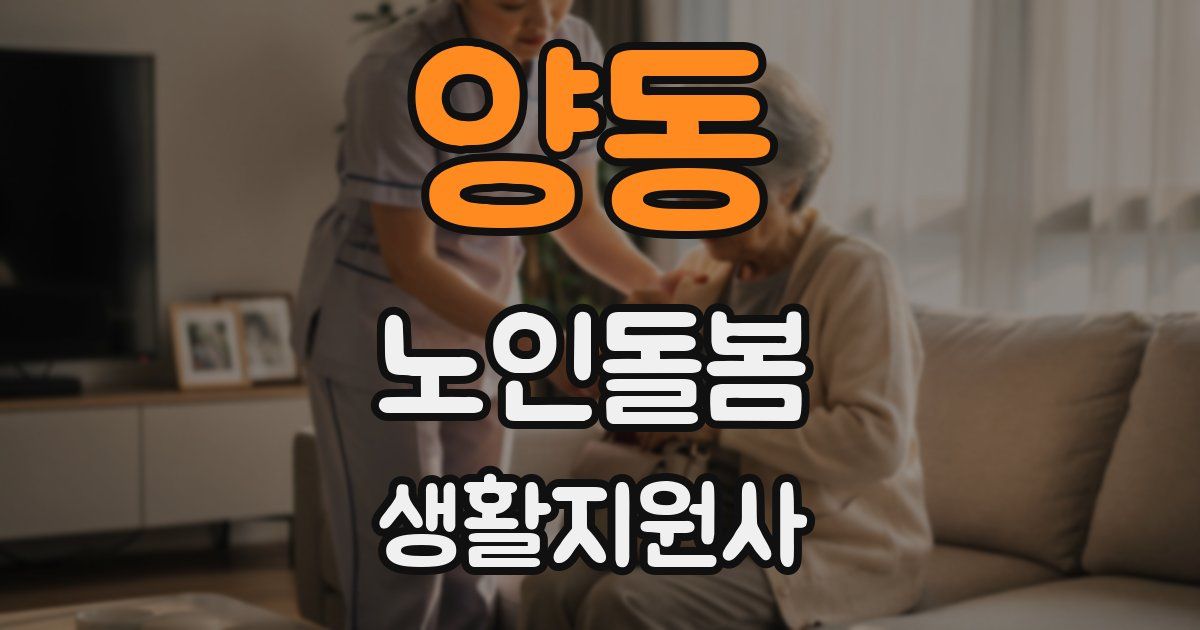 양동 노인돌봄생활지원사 자격증