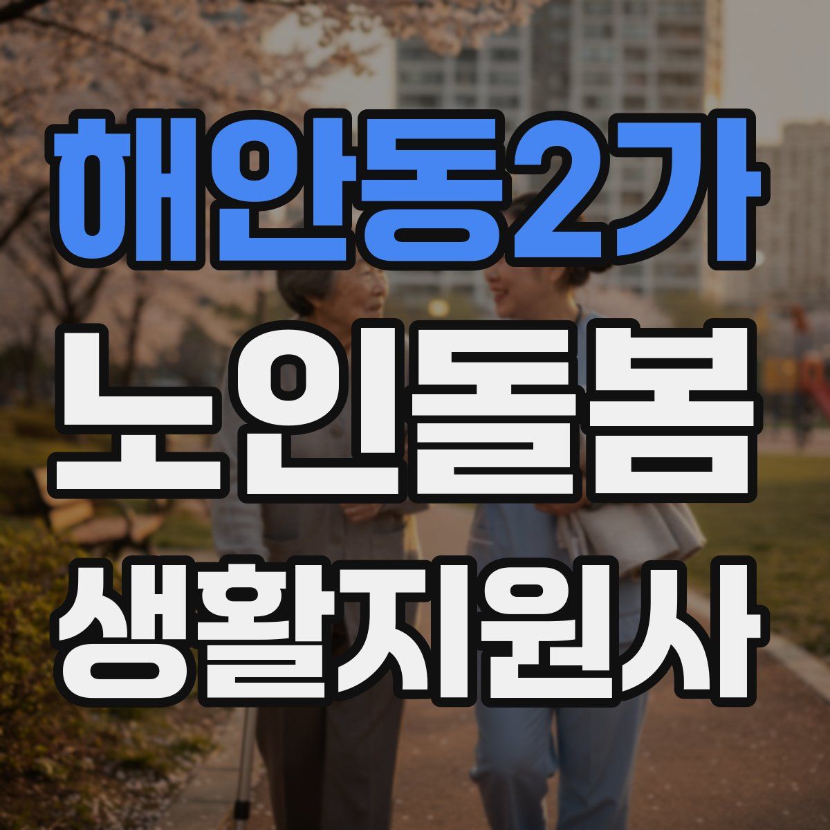 해안동2가 노인돌봄생활지원사 자격증