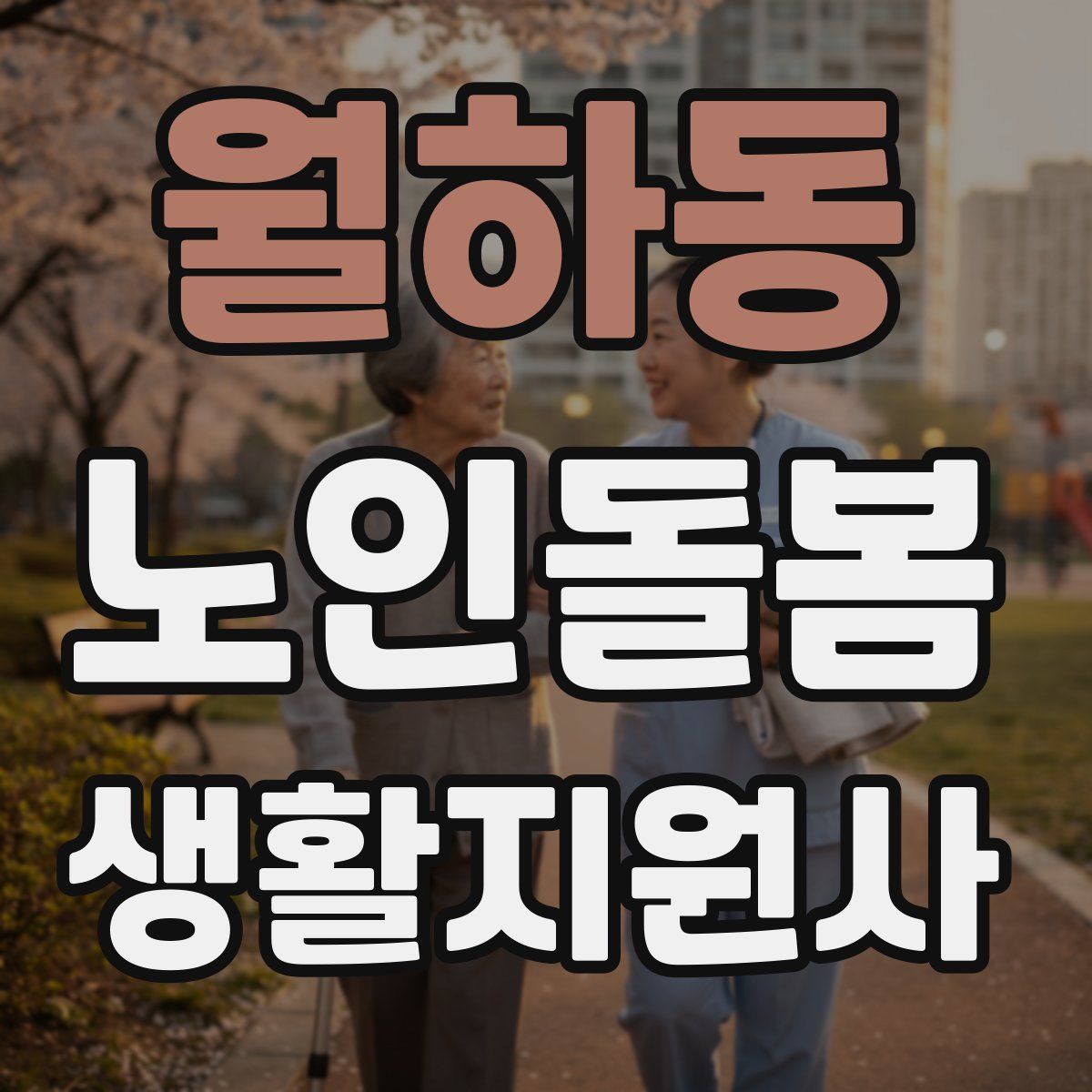 월하동 노인돌봄생활지원사 자격증