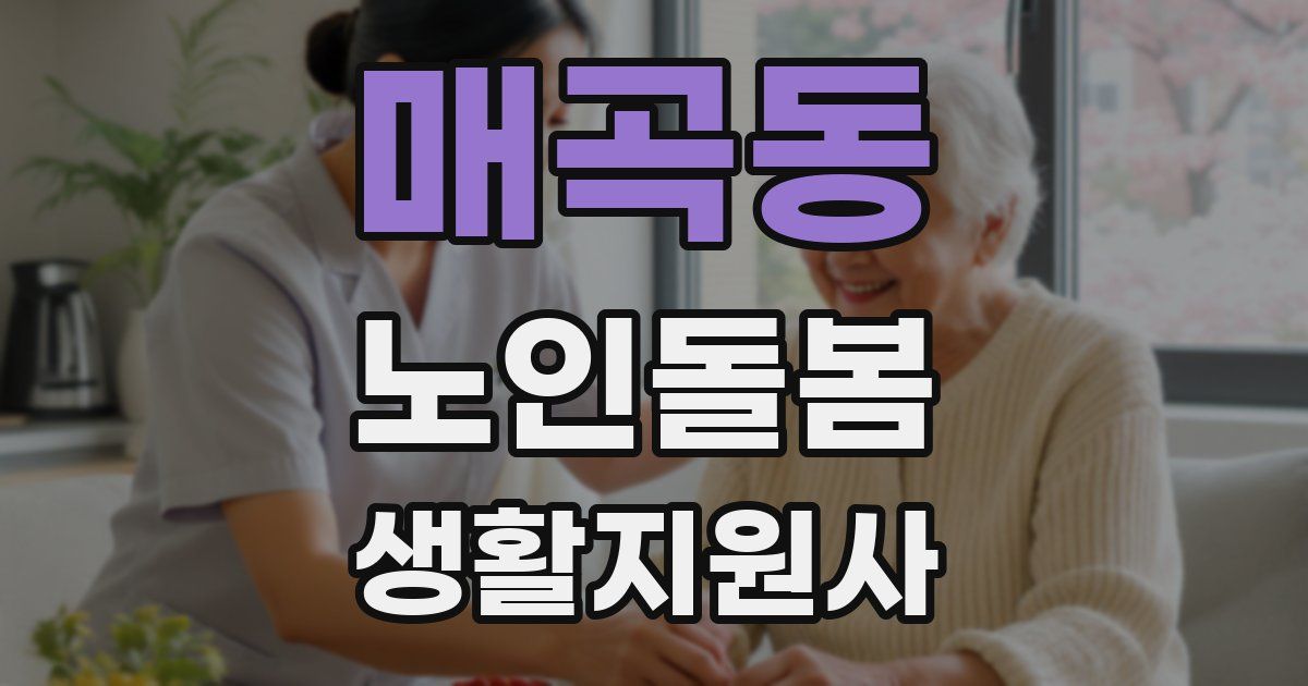매곡동 노인돌봄생활지원사 자격증
