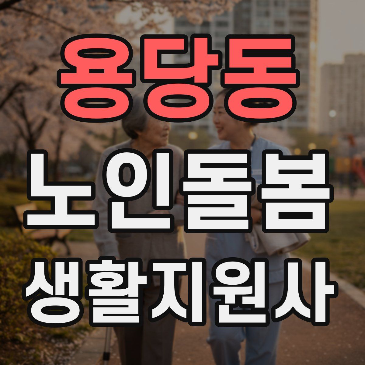 용당동 노인돌봄생활지원사 자격증