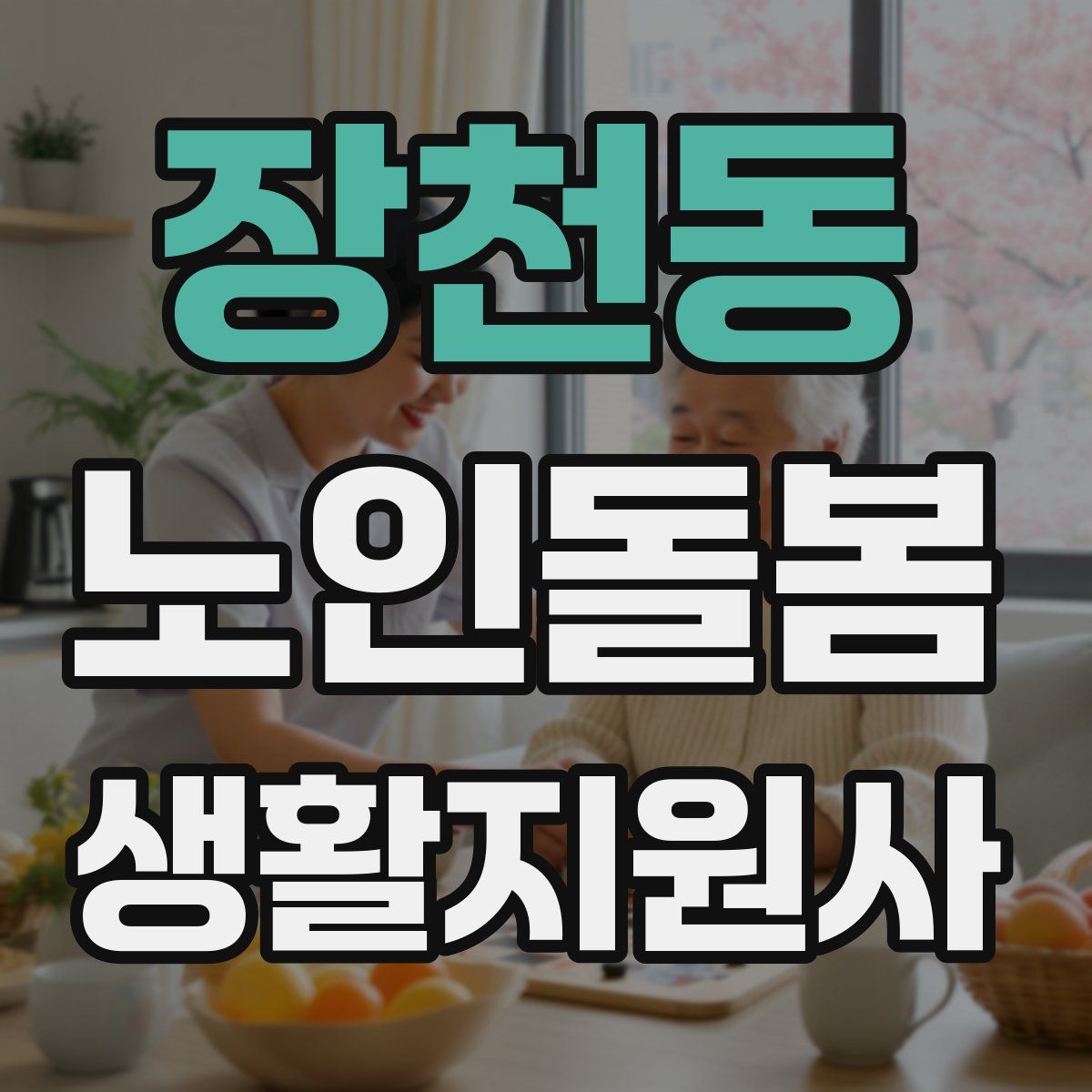 장천동 노인돌봄생활지원사 자격증