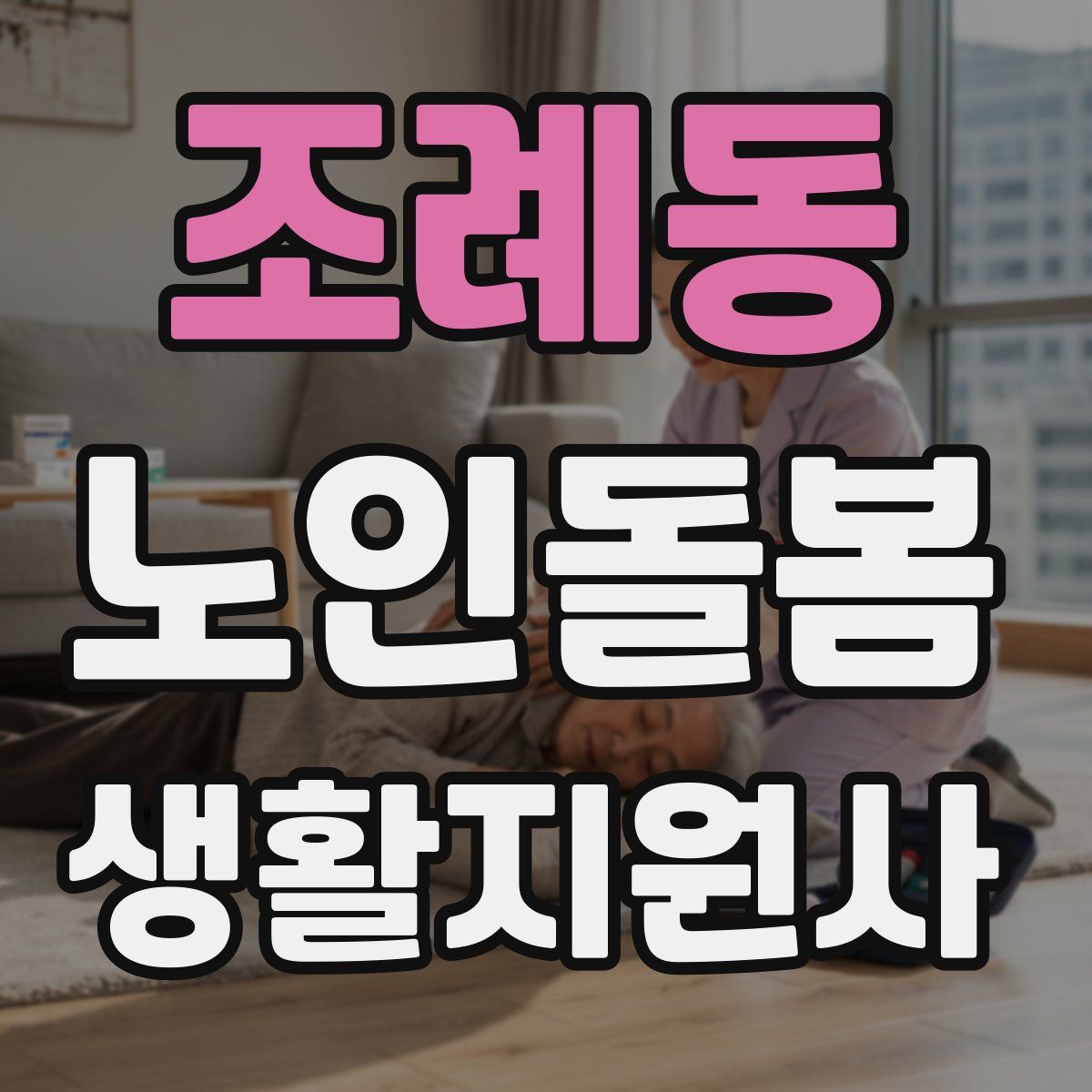 조례동 노인돌봄생활지원사 자격증