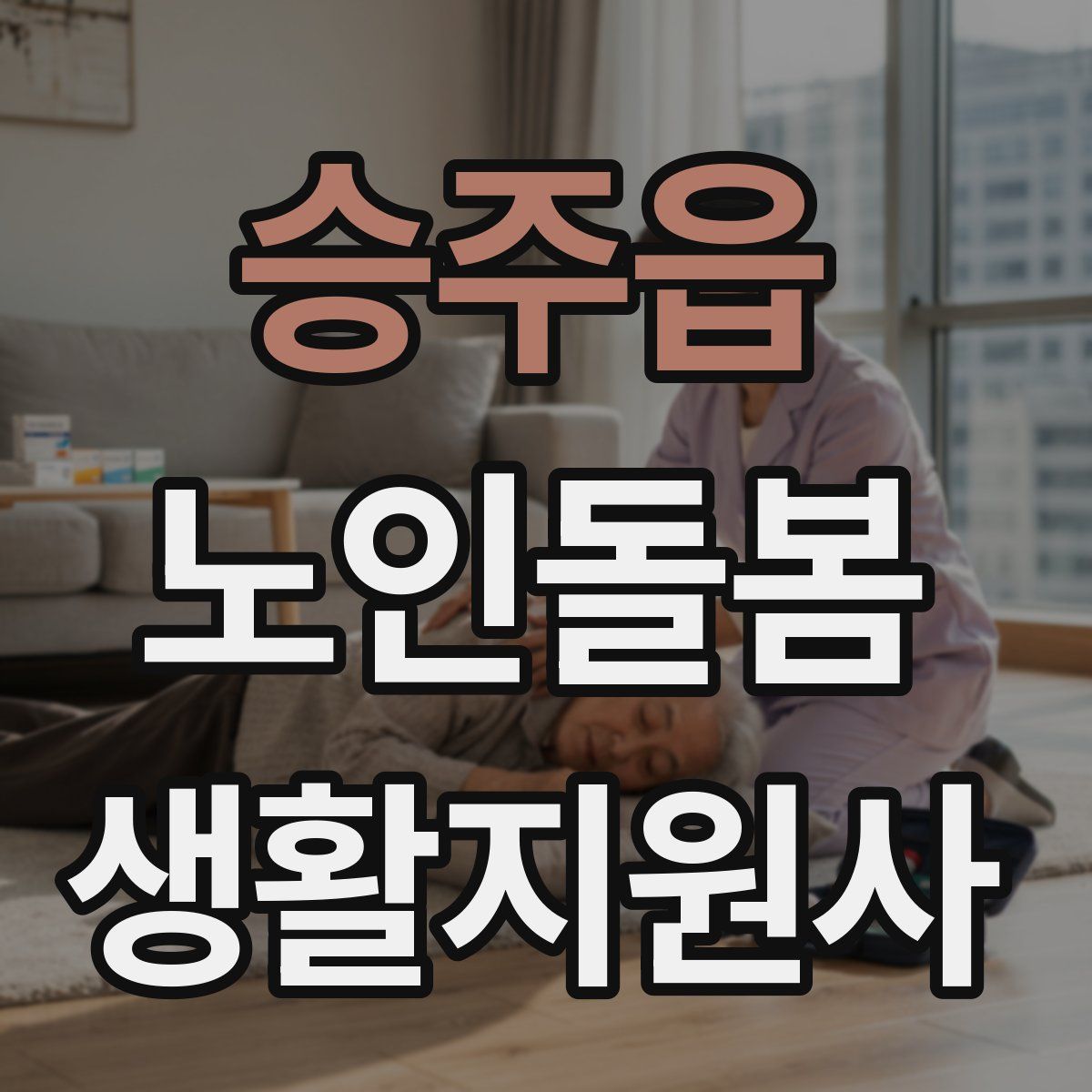 승주읍 노인돌봄생활지원사 자격증