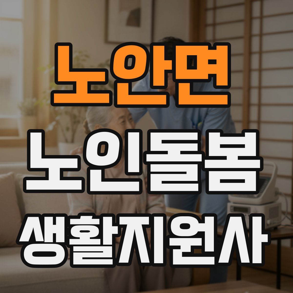 노안면 노인돌봄생활지원사 자격증