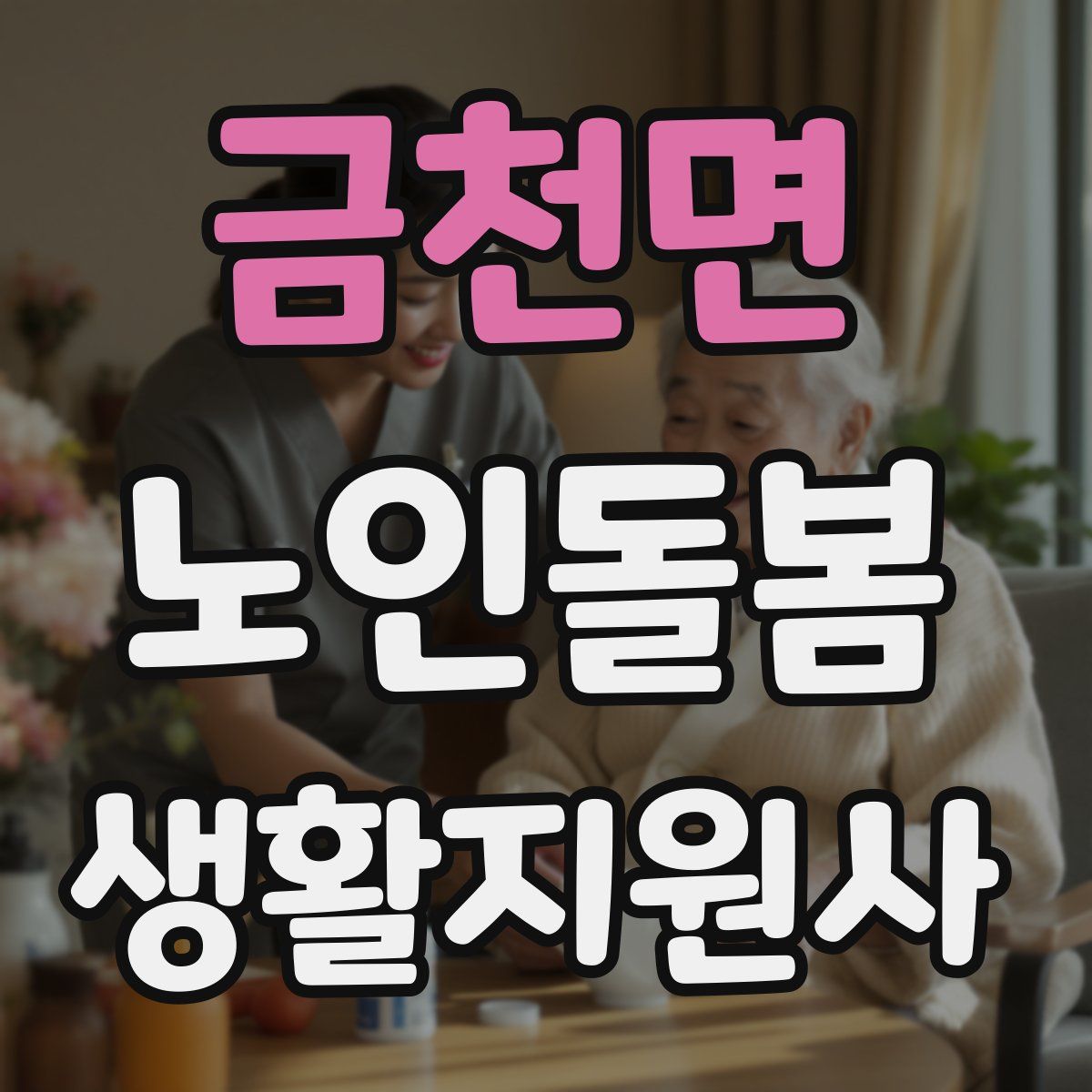 금천면 노인돌봄생활지원사 자격증