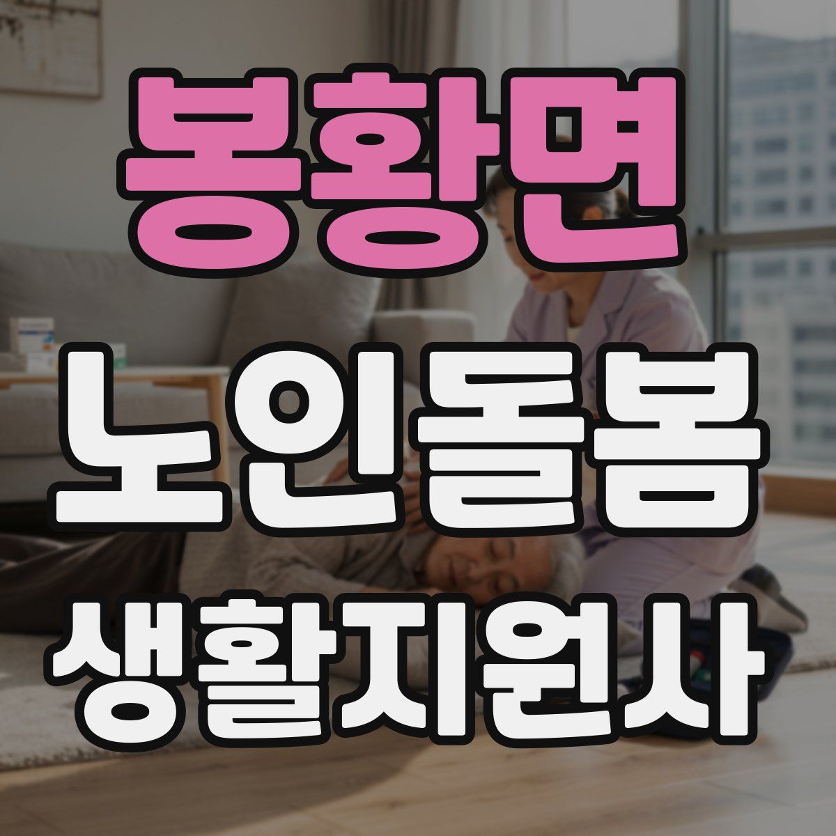 봉황면 노인돌봄생활지원사 자격증