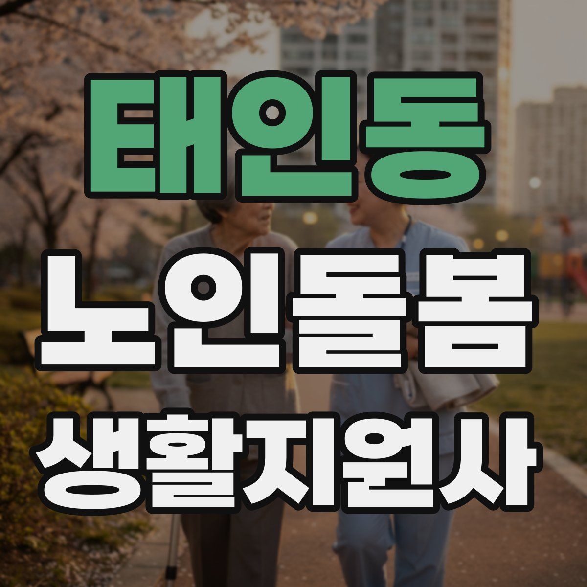 태인동 노인돌봄생활지원사 자격증