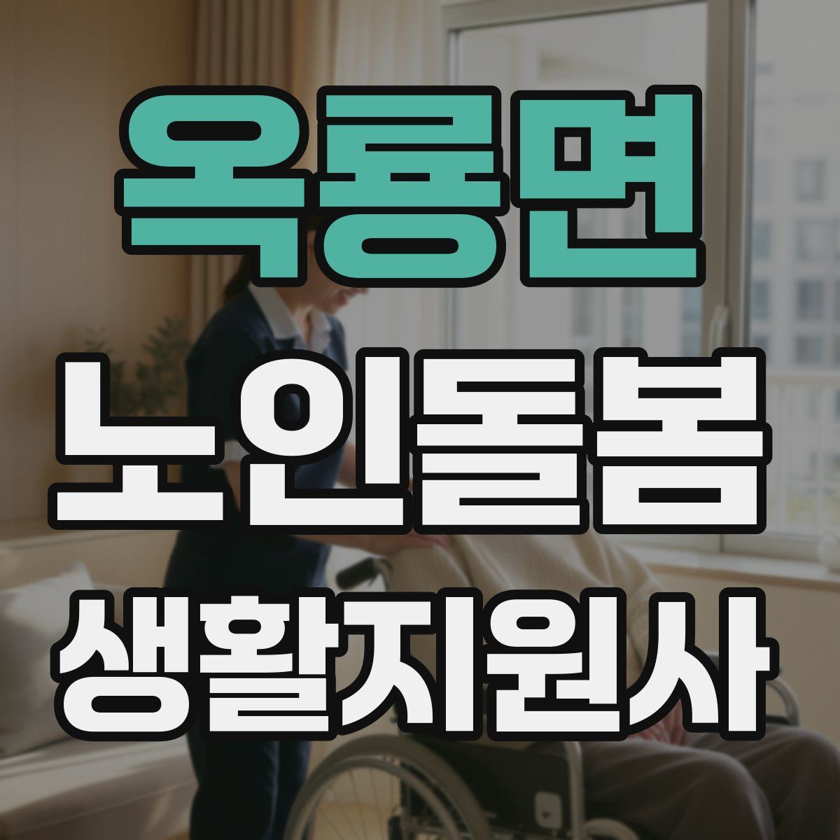 옥룡면 노인돌봄생활지원사 자격증