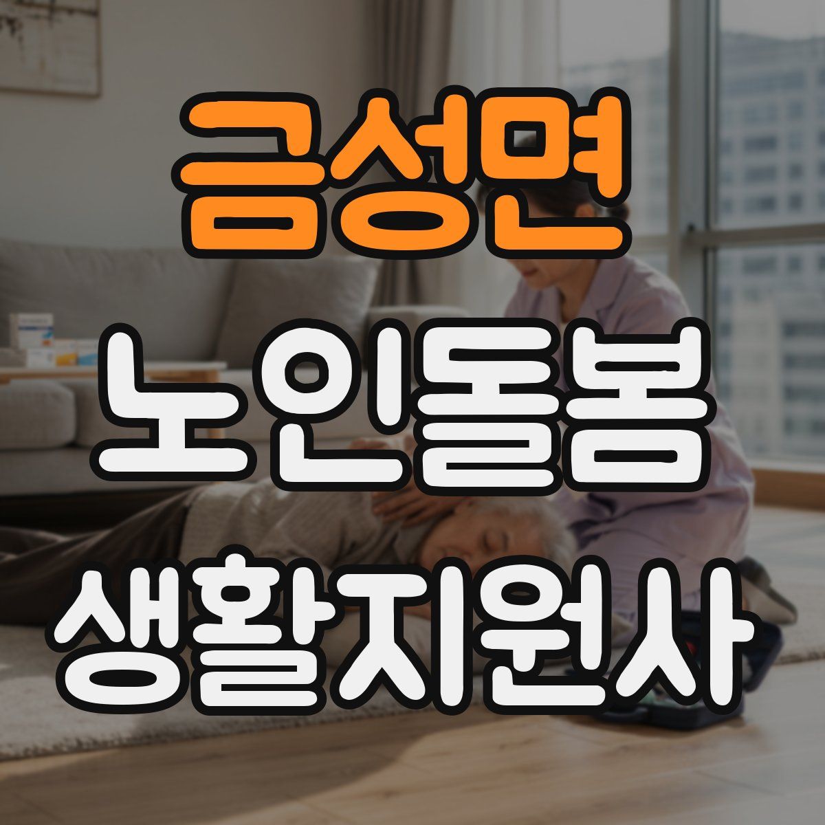 금성면 노인돌봄생활지원사 자격증