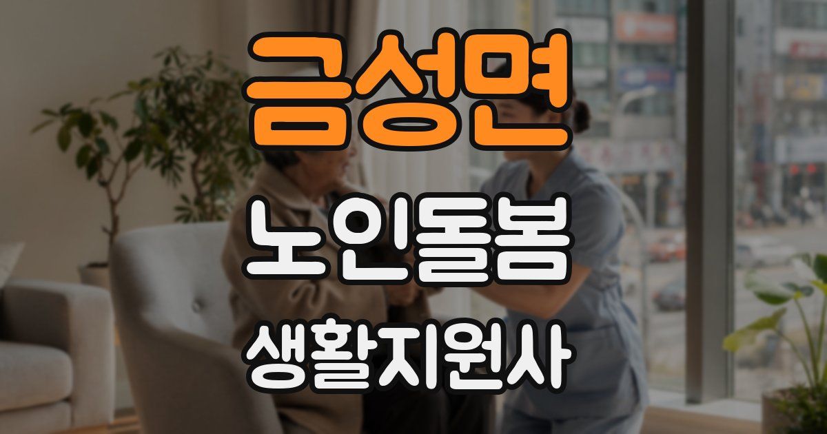 금성면 노인돌봄생활지원사 자격증