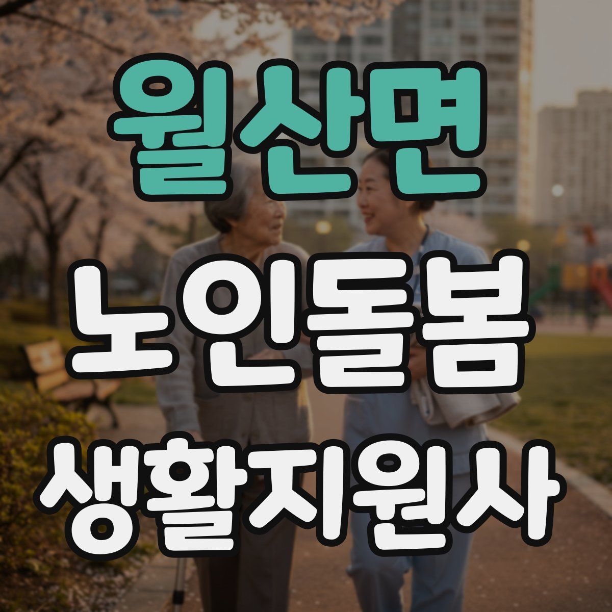 월산면 노인돌봄생활지원사 자격증