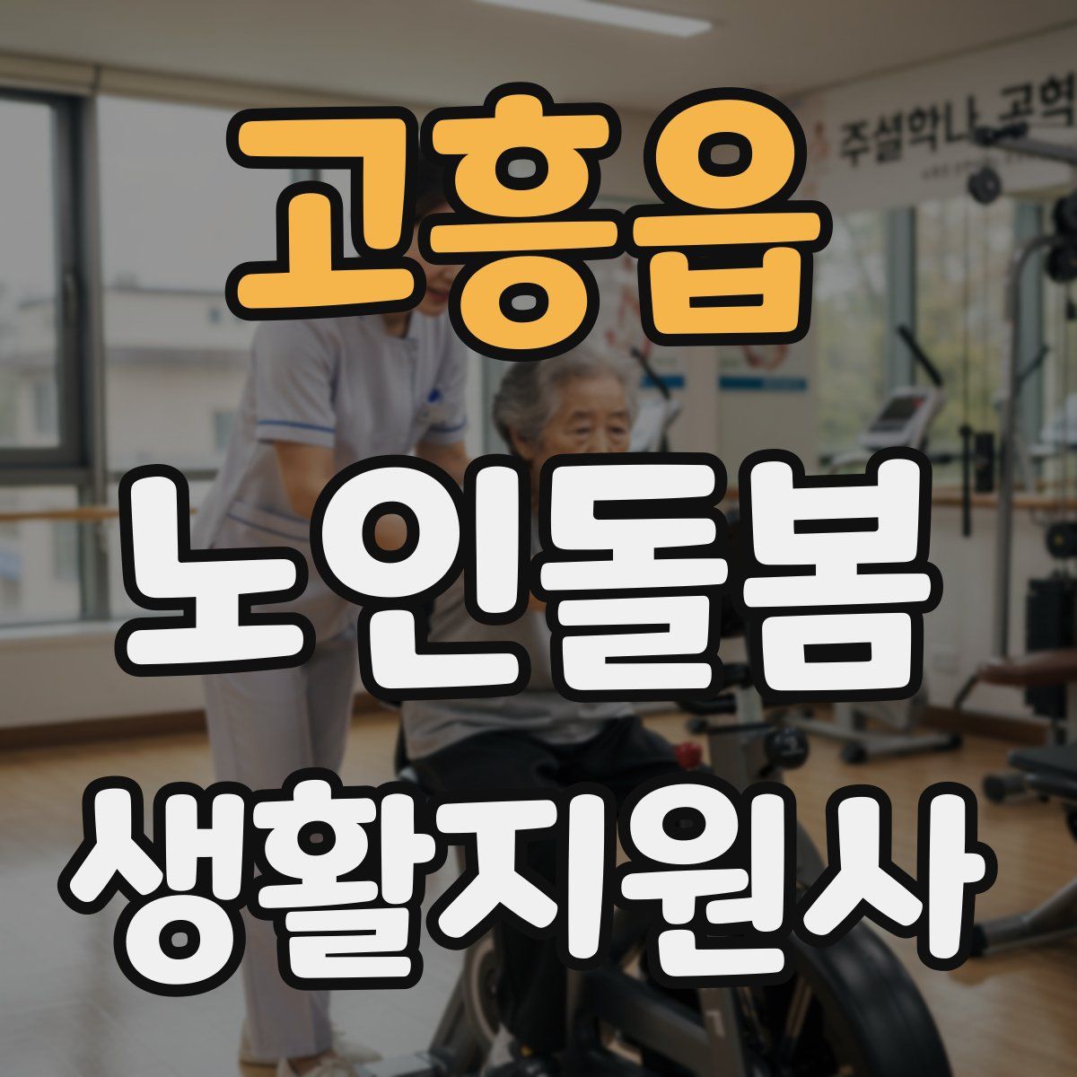 고흥읍 노인돌봄생활지원사 자격증