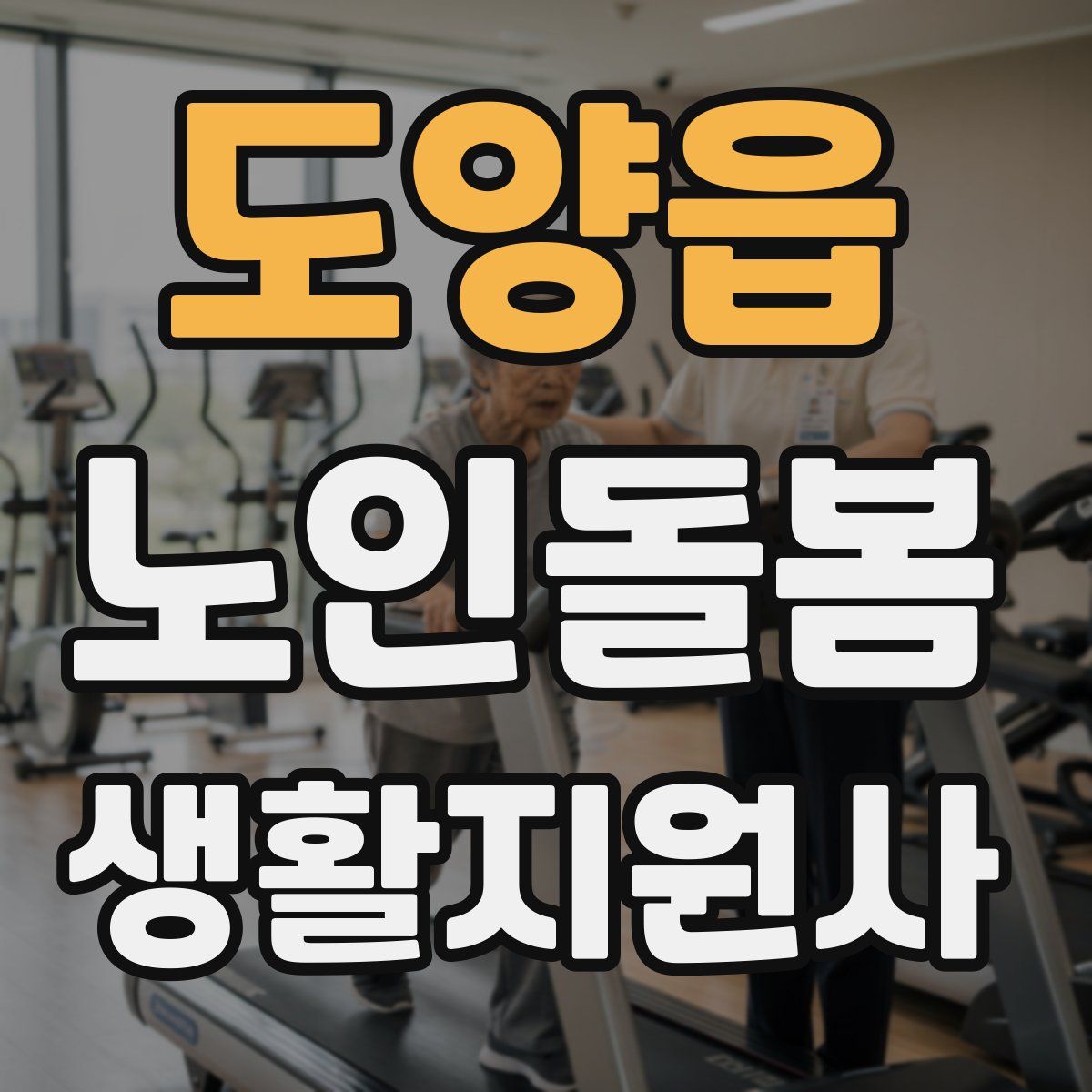 도양읍 노인돌봄생활지원사 자격증