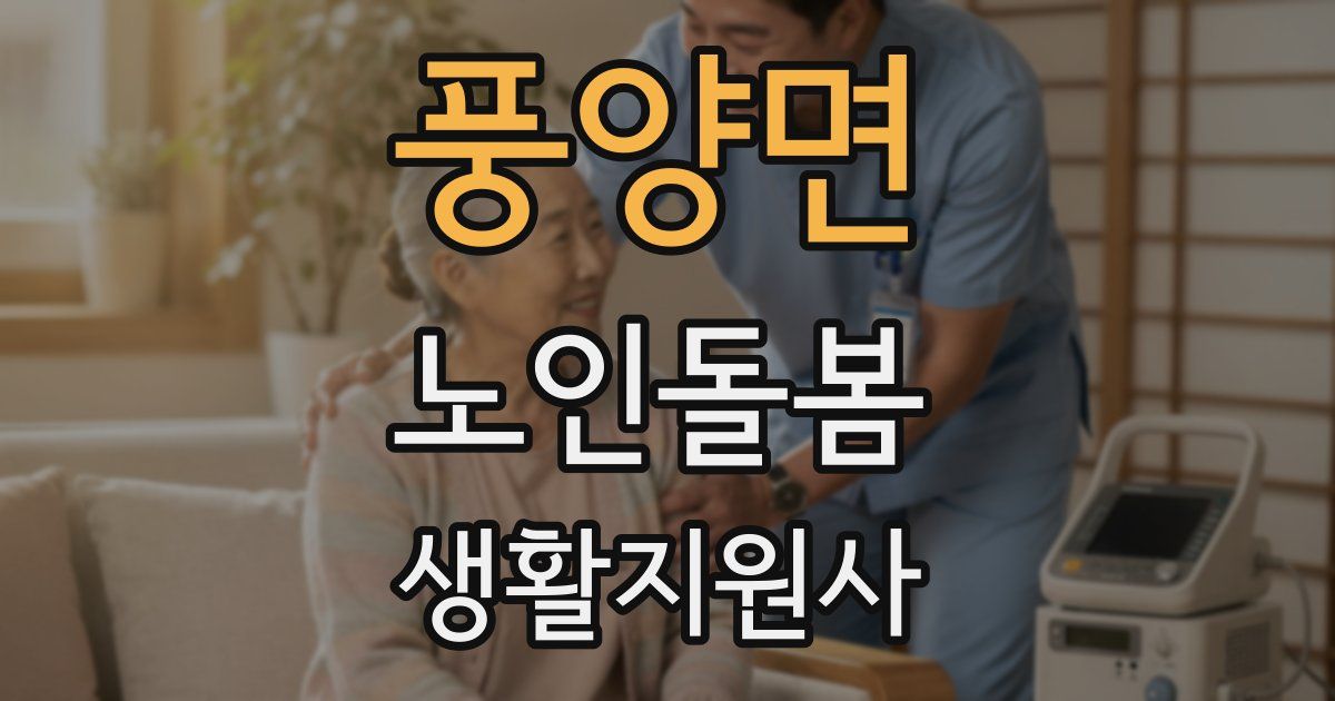 풍양면 노인돌봄생활지원사 자격증
