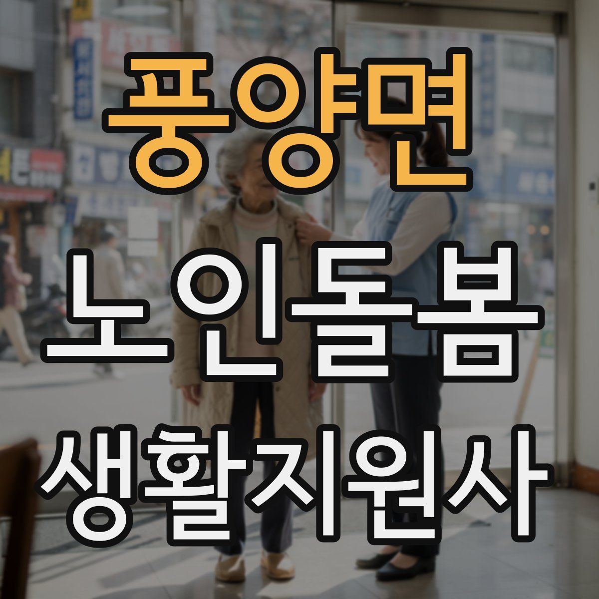 풍양면 노인돌봄생활지원사 자격증