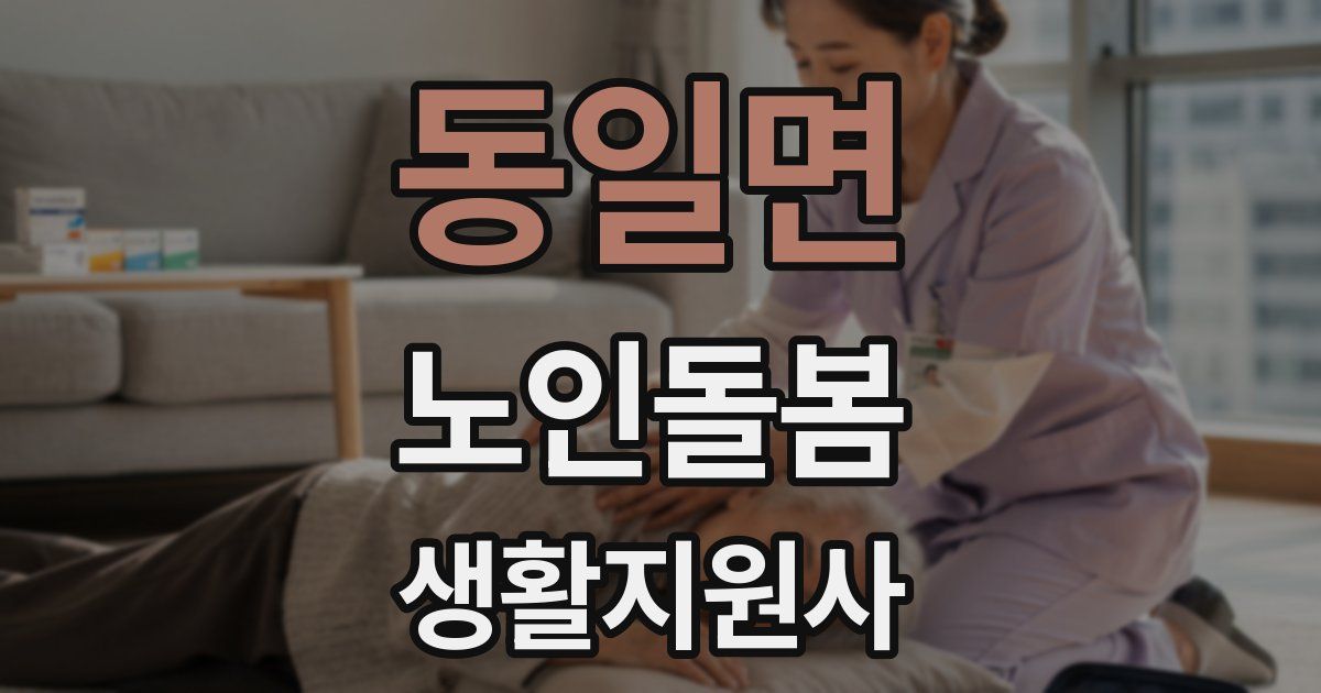 동일면 노인돌봄생활지원사 자격증