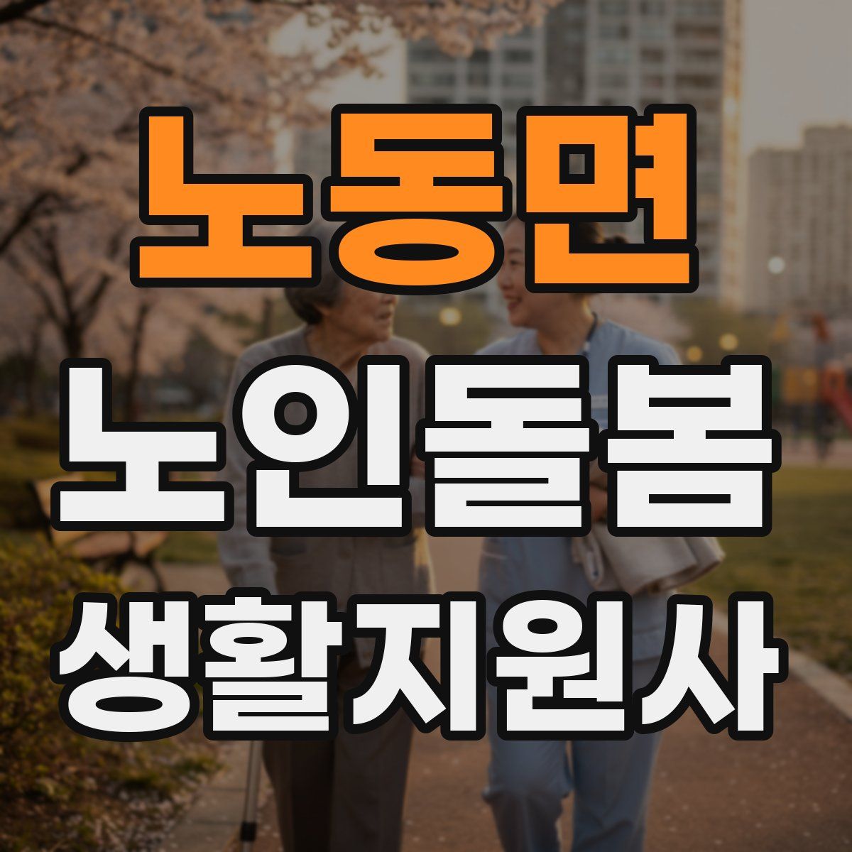 노동면 노인돌봄생활지원사 자격증