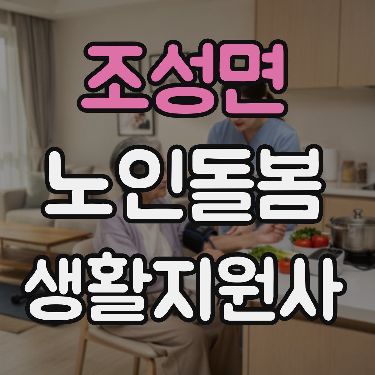 조성면 노인돌봄생활지원사 자격증