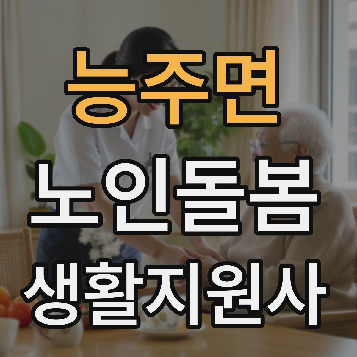 능주면 노인돌봄생활지원사 자격증