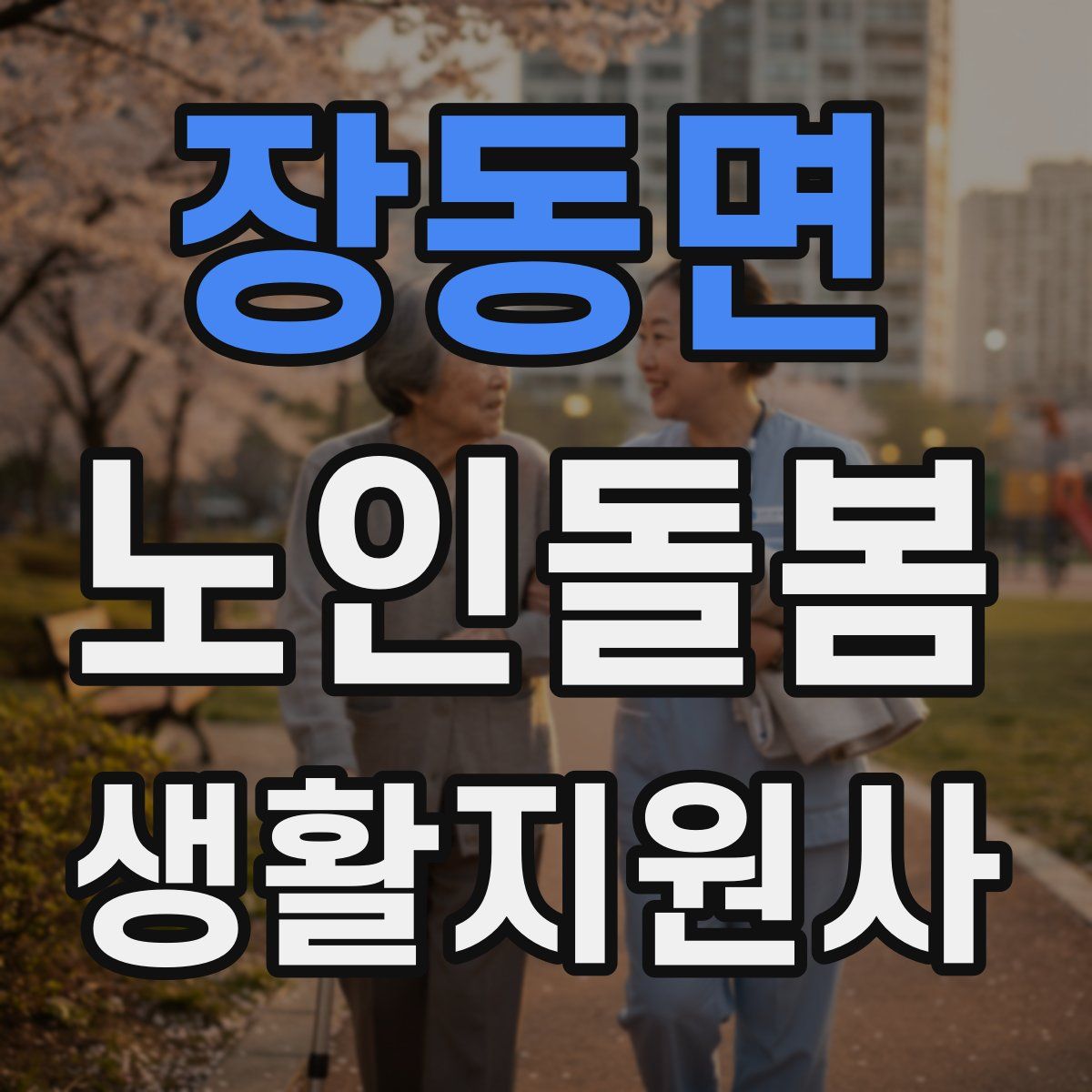 장동면 노인돌봄생활지원사 자격증