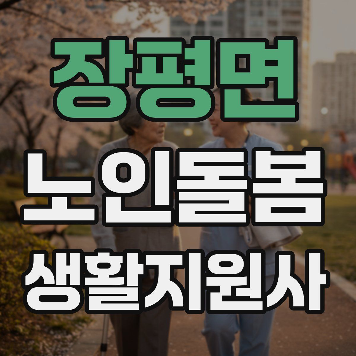 장평면 노인돌봄생활지원사 자격증