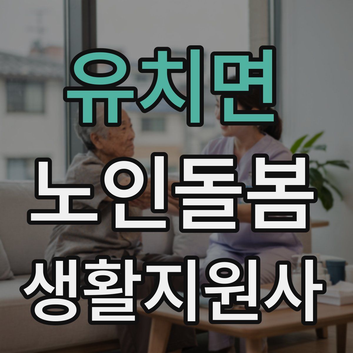 유치면 노인돌봄생활지원사 자격증