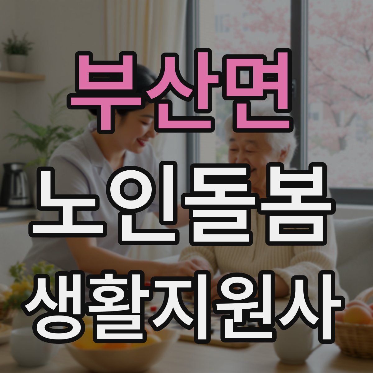 부산면 노인돌봄생활지원사 자격증