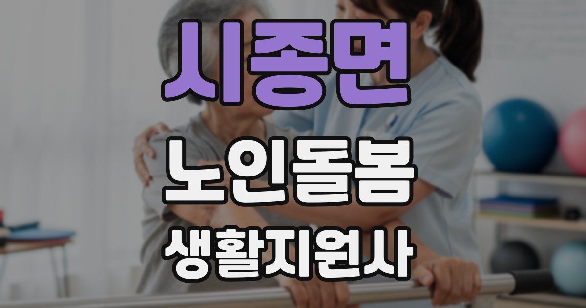 시종면 노인돌봄생활지원사 자격증