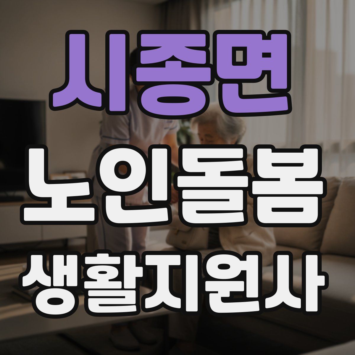 시종면 노인돌봄생활지원사 자격증