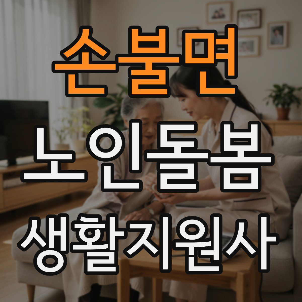 손불면 노인돌봄생활지원사 자격증