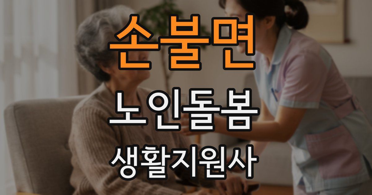 손불면 노인돌봄생활지원사 자격증
