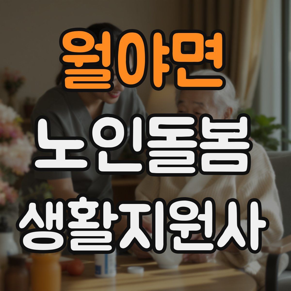 월야면 노인돌봄생활지원사 자격증