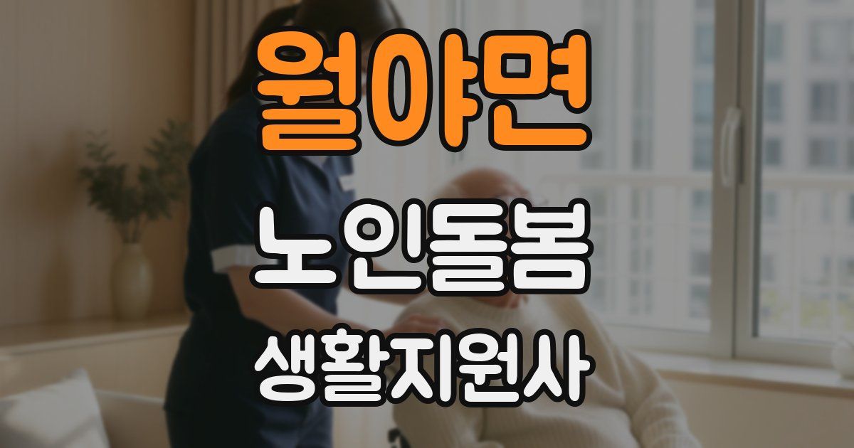 월야면 노인돌봄생활지원사 자격증