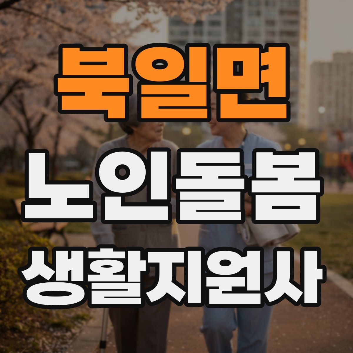북일면 노인돌봄생활지원사 자격증