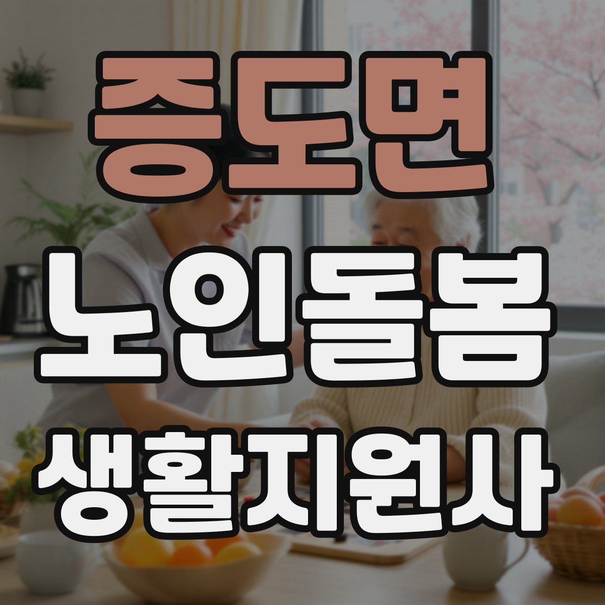 증도면 노인돌봄생활지원사 자격증