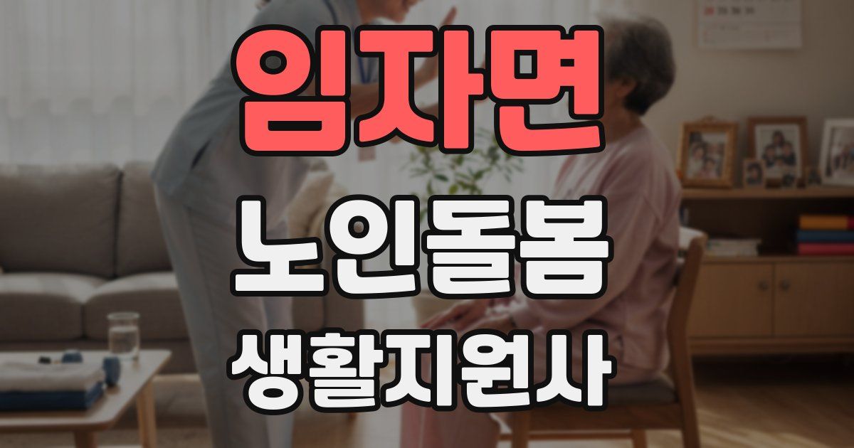 임자면 노인돌봄생활지원사 자격증
