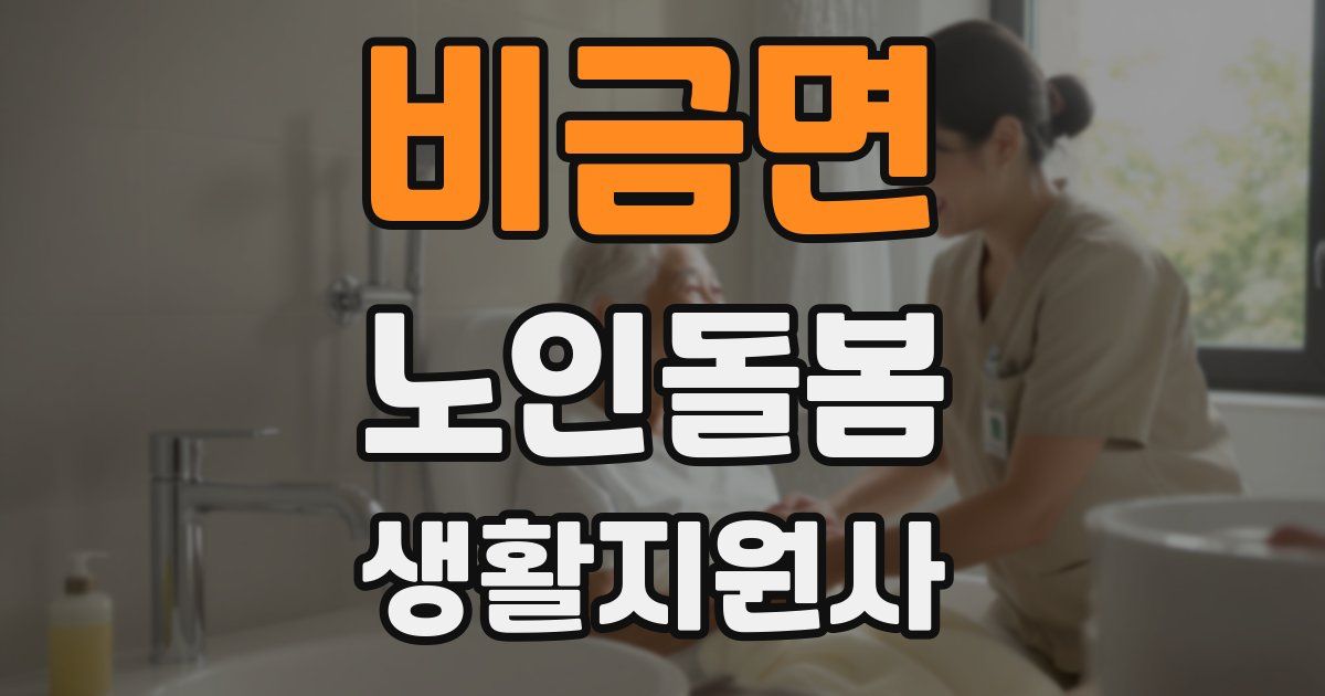 비금면 노인돌봄생활지원사 자격증