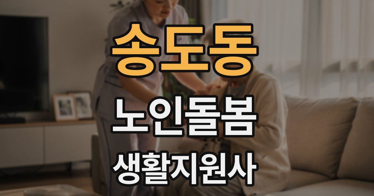 송도동 노인돌봄생활지원사 자격증