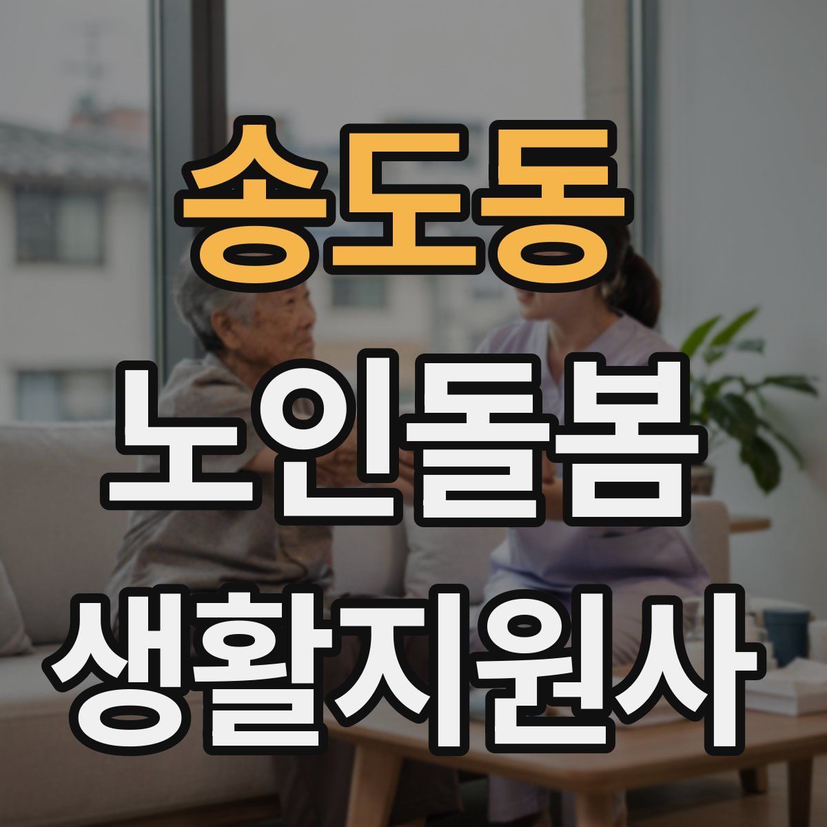 송도동 노인돌봄생활지원사 자격증