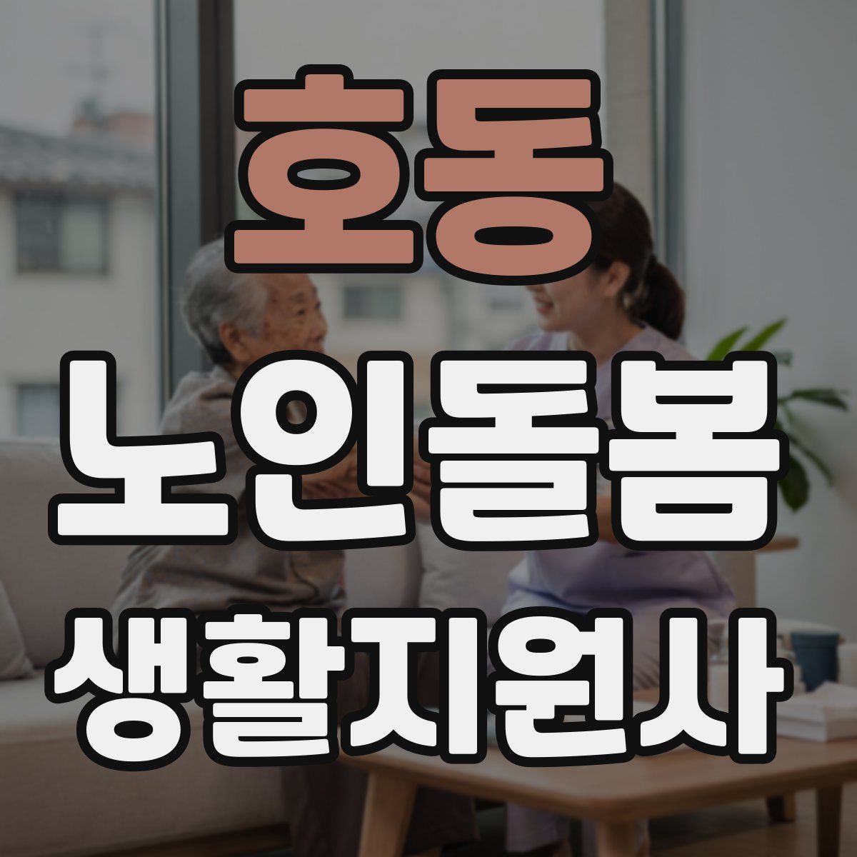 호동 노인돌봄생활지원사 자격증