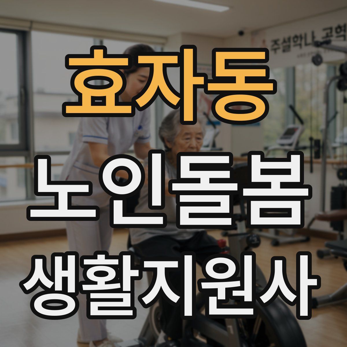 효자동 노인돌봄생활지원사 자격증
