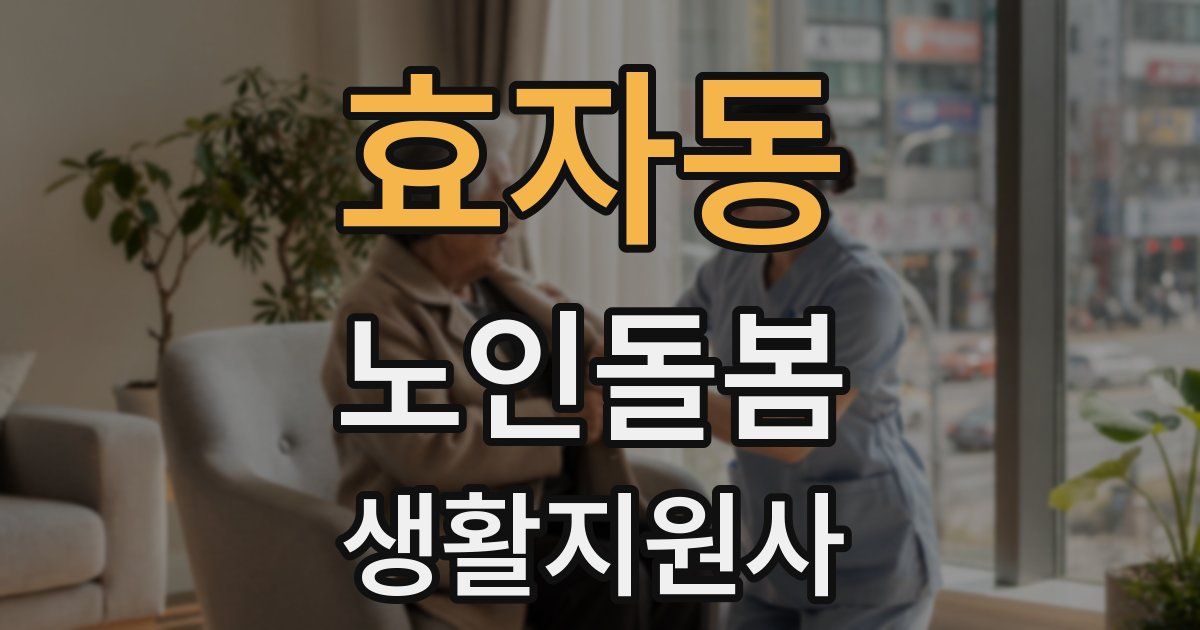 효자동 노인돌봄생활지원사 자격증