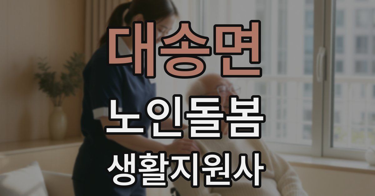 대송면 노인돌봄생활지원사 자격증