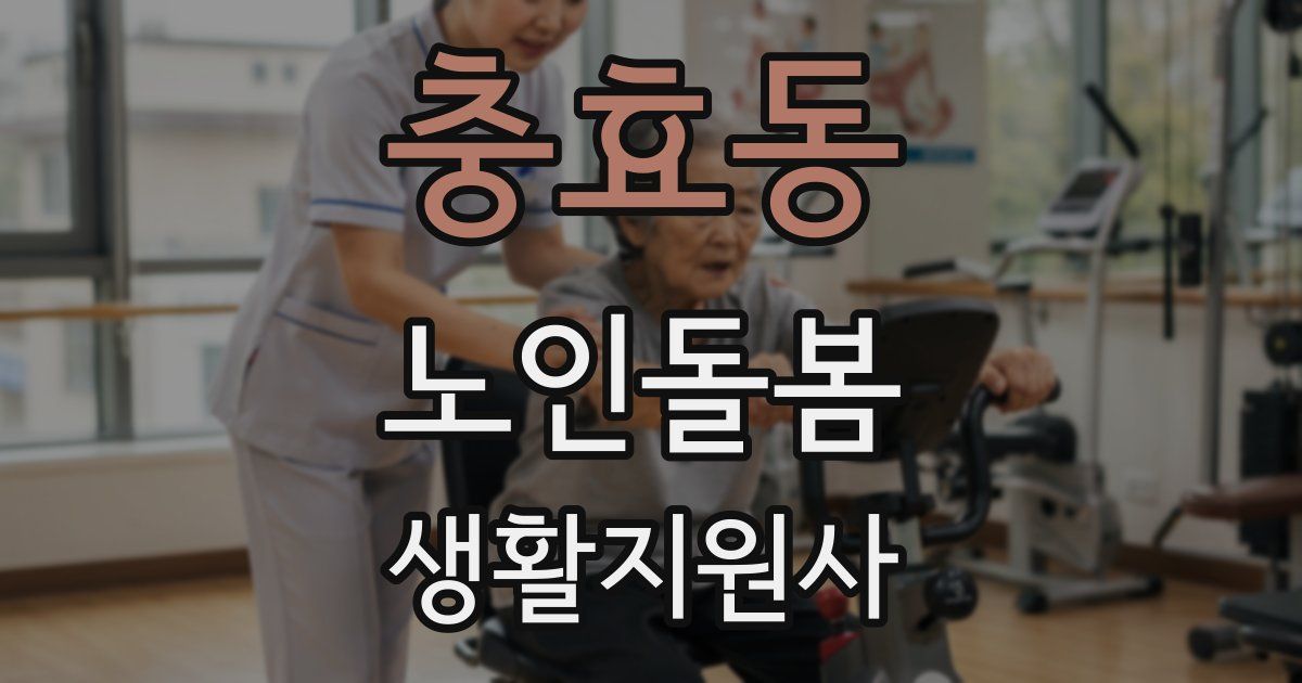 충효동 노인돌봄생활지원사 자격증