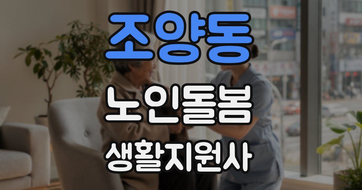 조양동 노인돌봄생활지원사 자격증
